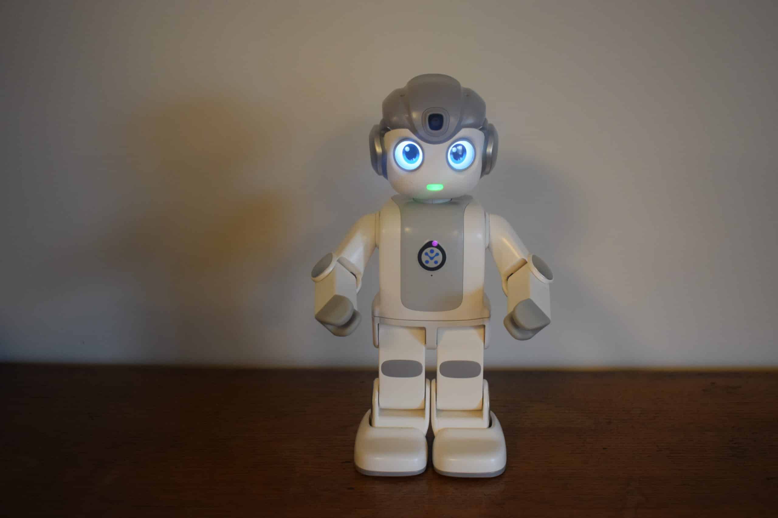 foto van Robot Maatje